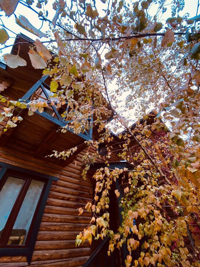 Boutigue Hotel Nebesa Chimgan Eksteriør billede
